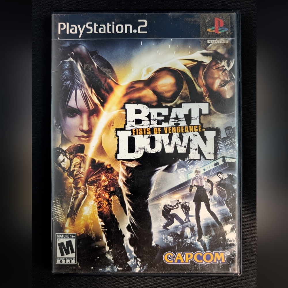 Beat Down: Fists of Vengeance PS2 Game